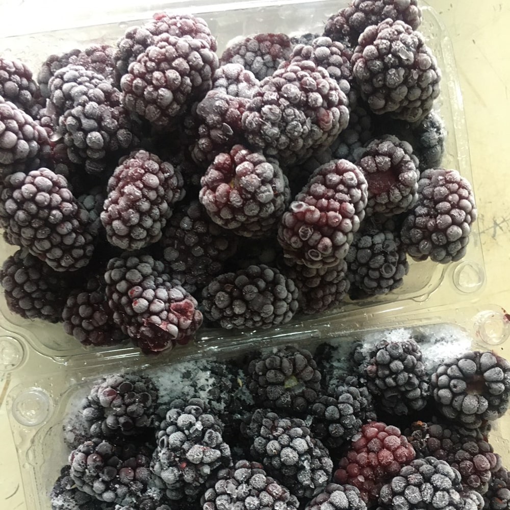 Trái Phúc Bồn Tử Đen Huỳnh Trung Quân- Cấp đông 1KG