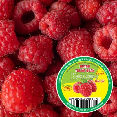Trái Phúc Bồn Tử tươi - Đỏ của đơn vị Huỳnh Trung Quân