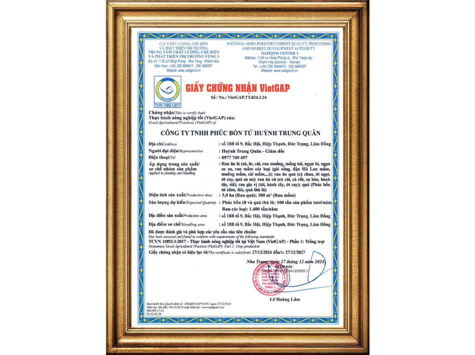 Giấy chứng nhận VietGap Phúc Bồn Tử Huỳnh Trung Quân